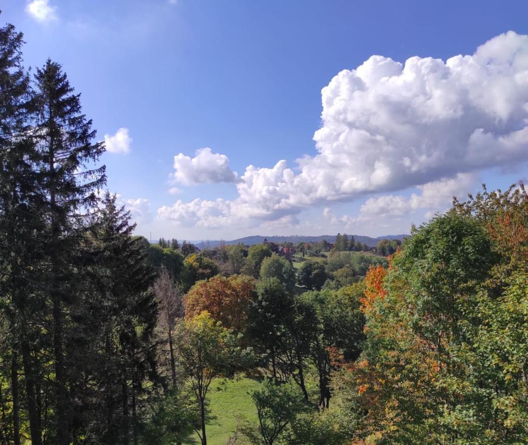 Fewo Harzer Weitblick, Hunde Willkommen, W-Lan, 2X Smart Tv, Dtv 4 Sterne, 4 Pfoten Браунлаге Экстерьер фото