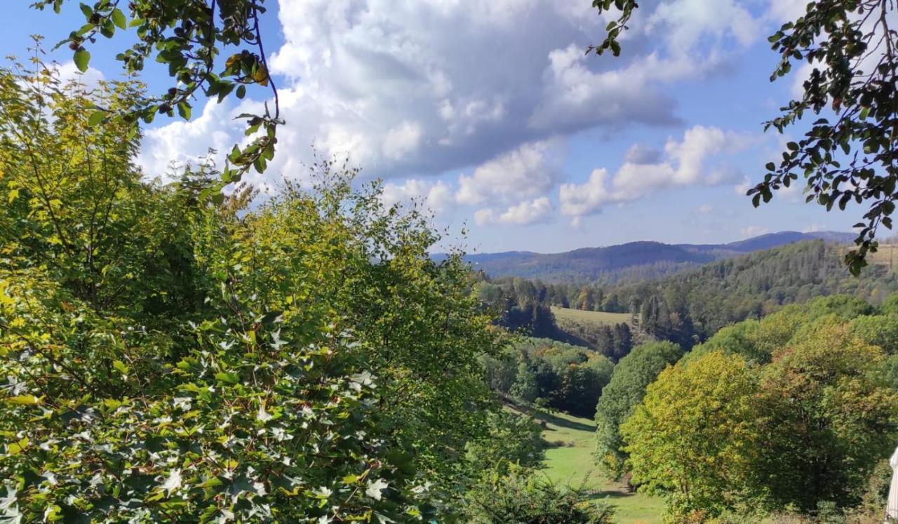 Fewo Harzer Weitblick, Hunde Willkommen, W-Lan, 2X Smart Tv, Dtv 4 Sterne, 4 Pfoten Браунлаге Экстерьер фото