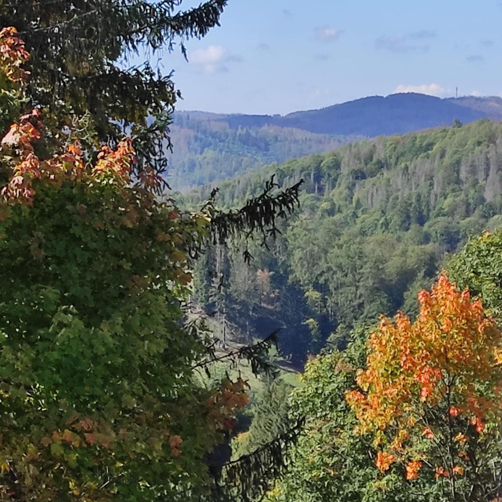 Fewo Harzer Weitblick, Hunde Willkommen, W-Lan, 2X Smart Tv, Dtv 4 Sterne, 4 Pfoten Браунлаге Экстерьер фото