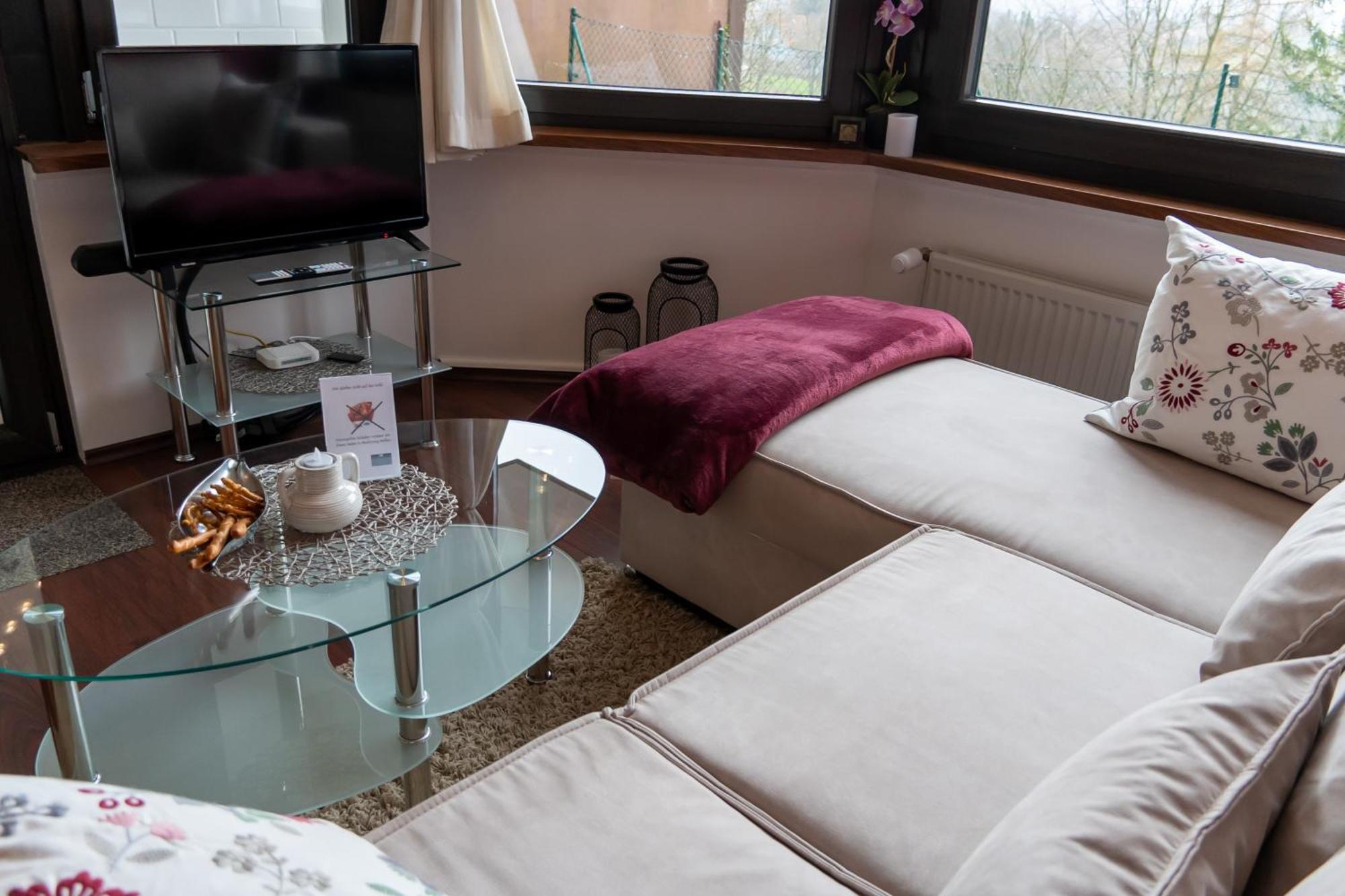 Fewo Harzer Weitblick, Hunde Willkommen, W-Lan, 2X Smart Tv, Dtv 4 Sterne, 4 Pfoten Браунлаге Экстерьер фото