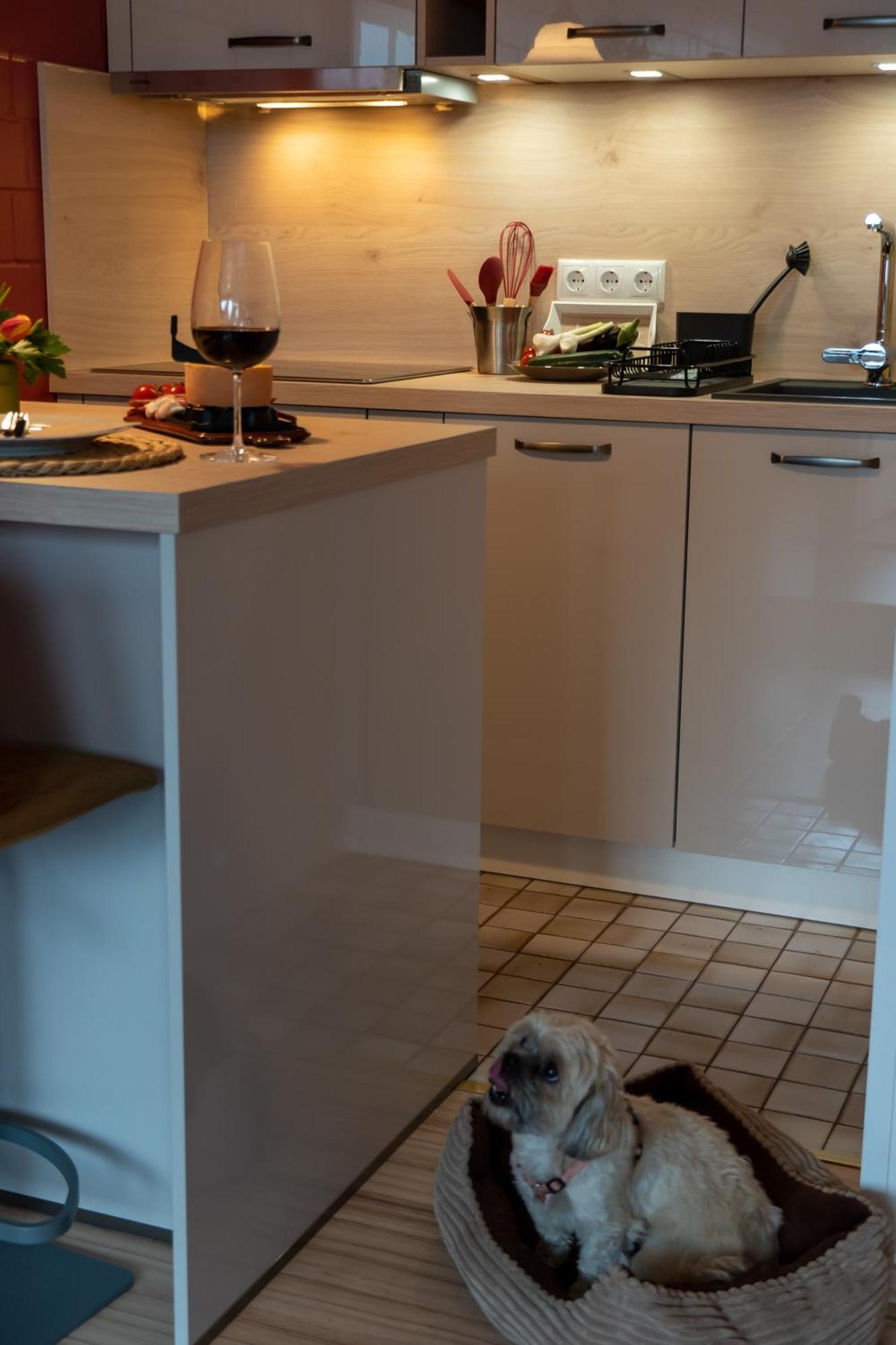 Fewo Harzer Weitblick, Hunde Willkommen, W-Lan, 2X Smart Tv, Dtv 4 Sterne, 4 Pfoten Браунлаге Экстерьер фото