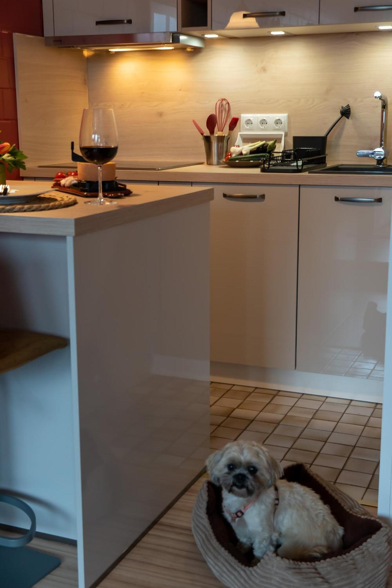 Fewo Harzer Weitblick, Hunde Willkommen, W-Lan, 2X Smart Tv, Dtv 4 Sterne, 4 Pfoten Браунлаге Экстерьер фото