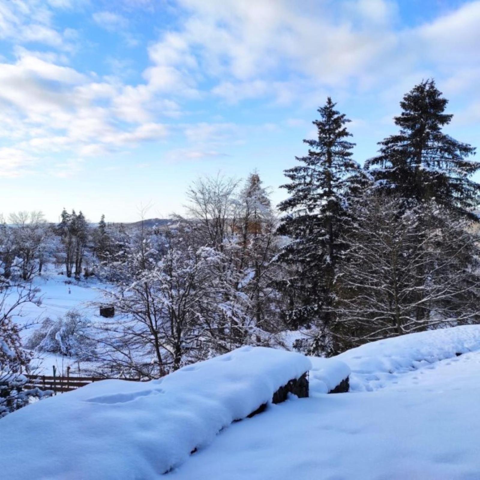 Fewo Harzer Weitblick, Hunde Willkommen, W-Lan, 2X Smart Tv, Dtv 4 Sterne, 4 Pfoten Браунлаге Экстерьер фото